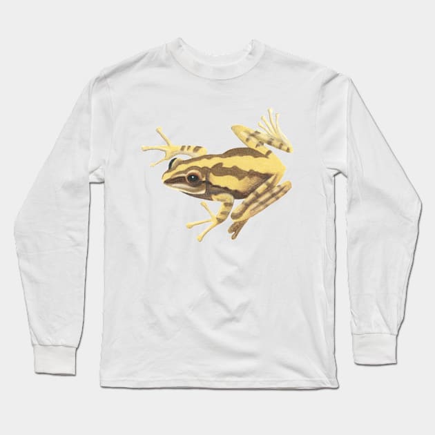 Golden Tree Frog :: Reptiles and Amphibians Long Sleeve T-Shirt by Platinumfrog